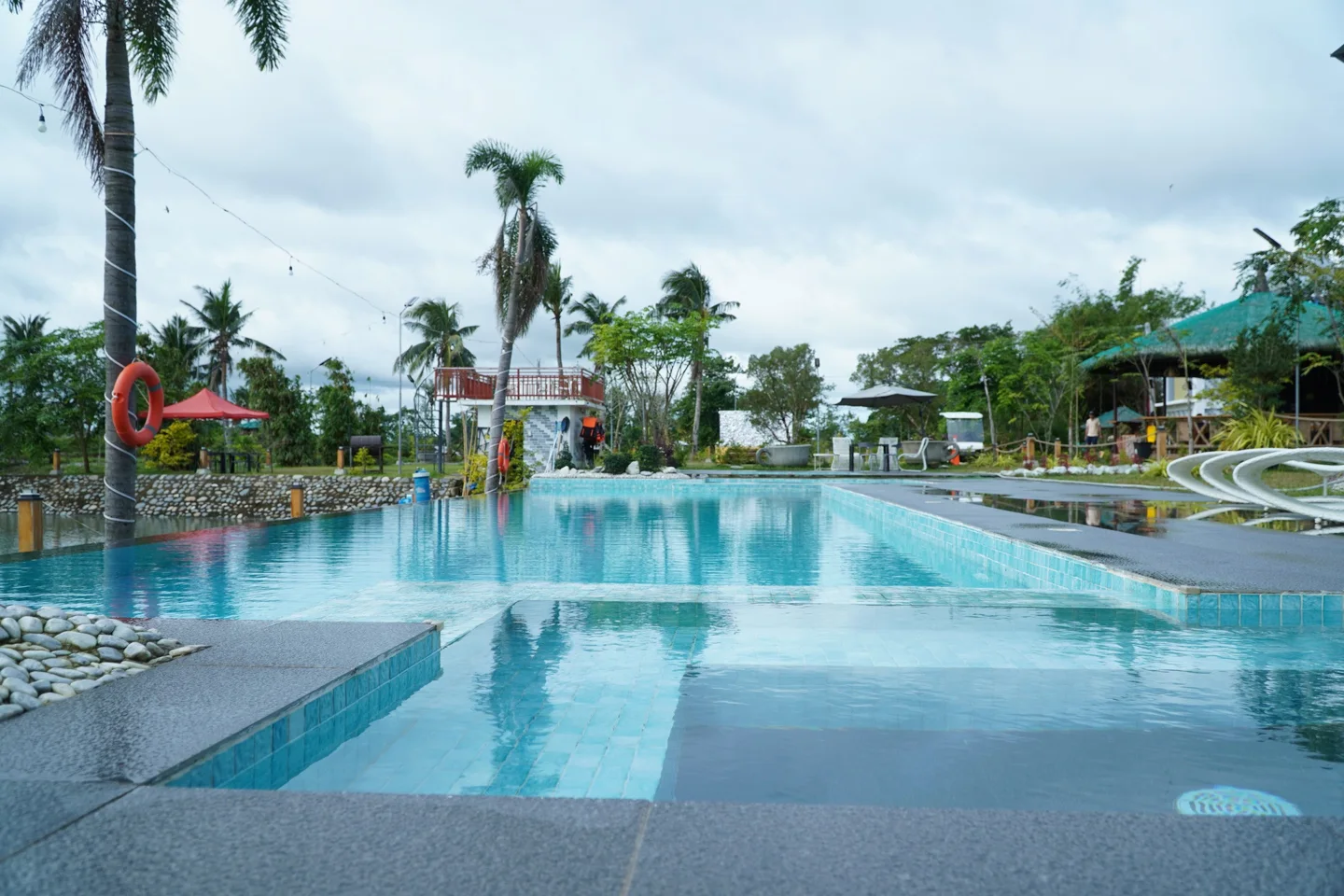 The farmhouse swimming pool surrounded by palms and countryside greenery
