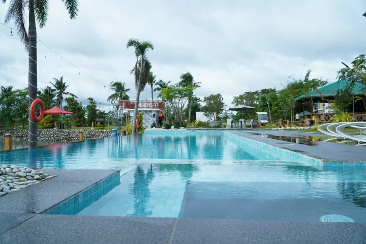 Farmhouse pool and palm trees